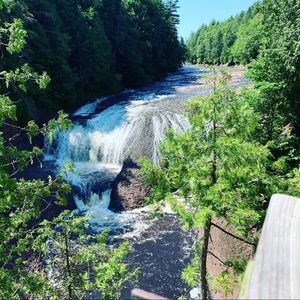 Meet your Posher, Mackenzie